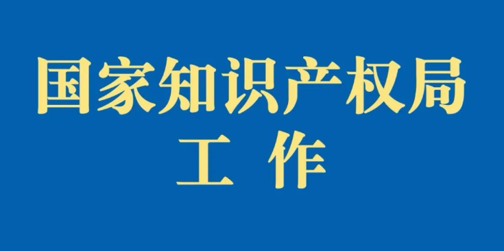 国家知识产权局依法依规开展严重违法失信行为惩戒工作