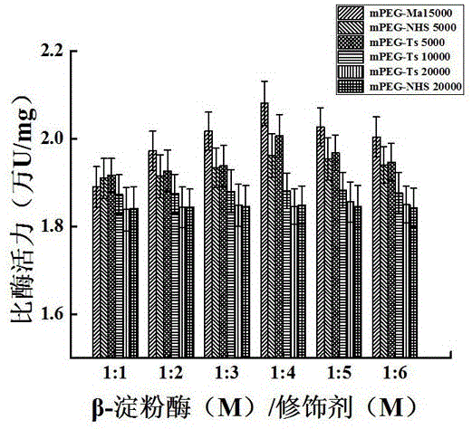 一种mPEG-Mal5000修饰β-淀粉酶的方法