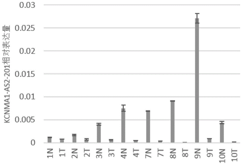 一种lncRNA标志物在制备结直肠癌早期诊断产品中的应用、检测引物、试剂盒