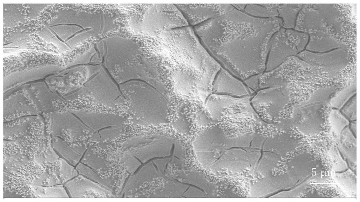一种贵金属氧化物电极表面污物的去除方法